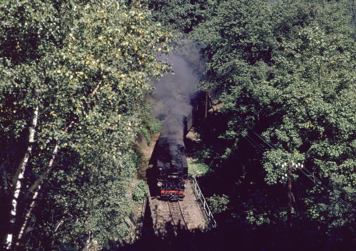 99 1790 mit P 14265 im Rabenauer Grund vor Seifersdorf, am 01.09.1989