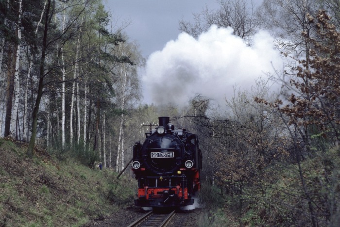 99 1761 mit P 14265 im Wald vor Malter, am 25.03.1990