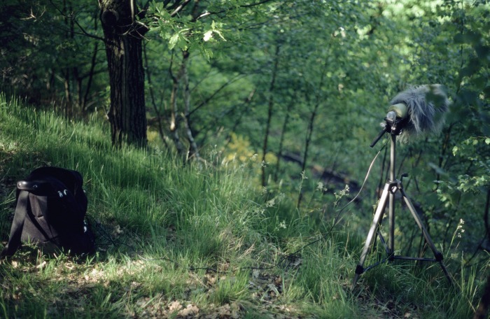 Unzählige Male stand dieser Aufbau des Mikrofons über Jahrzehnte lang immer wieder hier am Waldrand zwischen Seifersdorf und Malter, fotografiert hier um 9:00h am 18.05.2002