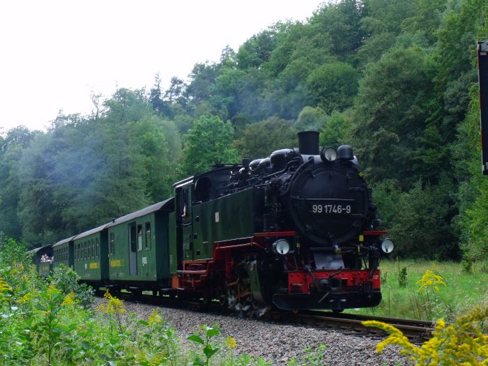 99 1746 mit P 5006 an der  Wiese vor dem Bahnhof Rabenau, um 14:29h am 29.08.2011