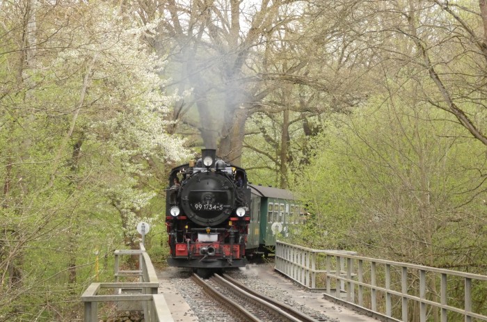 99 1734 am nächsten Tag noch mal wieder mit dem P 5002, dieses mal an der Einfahrt vor Seifersdorf am Viadukt fotografiert, um 13:55h am 23.04.2025 99 1734 am nächsten Tag noch mal wieder mit dem P 5002, dieses mal an der Einfahrt vor Seifersdorf am Viadukt fotografiert, um 13:55h am 23.04.2025