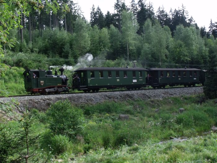 No 54 (Tv) Zug Nr.16 abwärts zwischen Schlössel und Schmalzgrube, kurz unterhalb vom Haltepunkt Loreleifelsen, um 16:15h am 24.07.2011