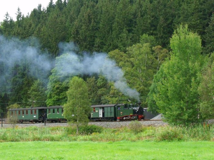 No 54 mit Zug 17 Abfahrt am Haltepunkt Forellenhof, um 17:24h am 28.08.2011