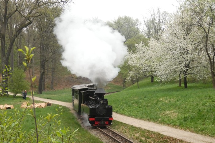 99 3317 mit erstem Oster-Regelzug von Bad Muskau nach Weißwasser, aufgenommen und fotografiert hinter den Kurven hinter Ausfahrt Bad Muskau am Waldrand, um 10:52h am 18.04.2025