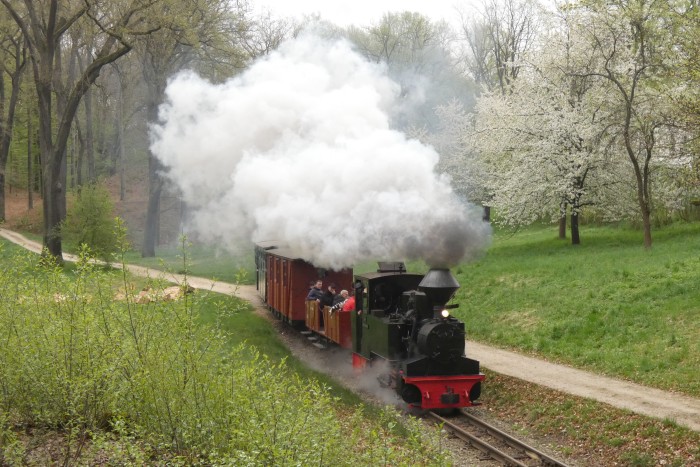 99 3312 mit verlängertem Zug Bad Muskau→Weißwasser (-Kromlau), am gleichen Ort wie zuvor, nämlich am Waldrand hinter Bad Muskau, um 12:09h am 18.04.2025