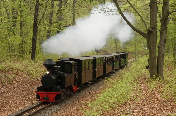 99 3312 mit Zug Bad Muskau→Weißwasser mitten im Wald in der kurzen Steigung vor dem Haltepunkt Feuerturmteich, um 15:23h am 18.04.2025