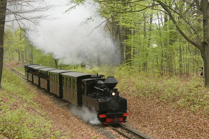 99 3317 mit Zug Richtung Weißwasser im Wald kurz vor dem Haltepunkt Feuerturmteich, um 17:01h am 18.04.2025