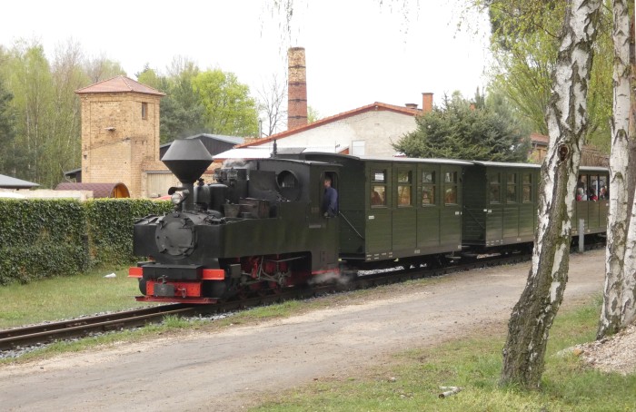 99 3317 mit Zug zurück von Bad Muskau nach Weißwasser, in der Steigung am Waldrand hinter Bad Muskau, um 13:57h am 19.04.2025