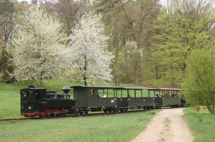99 3317 Tv abwärts Richtung Bad Muskau an der Obstbaumwiese am Waldrand südlich Muskau, um 16:39h am 19.04.2025