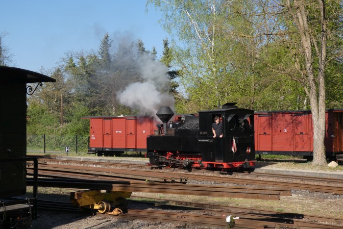 99 3317 kommt für eine kleine Rangierarbeit vom Lok-Betriebshof-Gelände zum Bahnhof vorgefahren, Weißwasser-Teichstraße um 9:31h am 20.04.2025