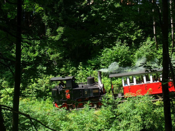 Lok 3 nun rückwärts (Tv) und abwärts fahrend nach Jenbach, kurz unterhalb von Eben im Wald, um 11:31h am 04.08.2017