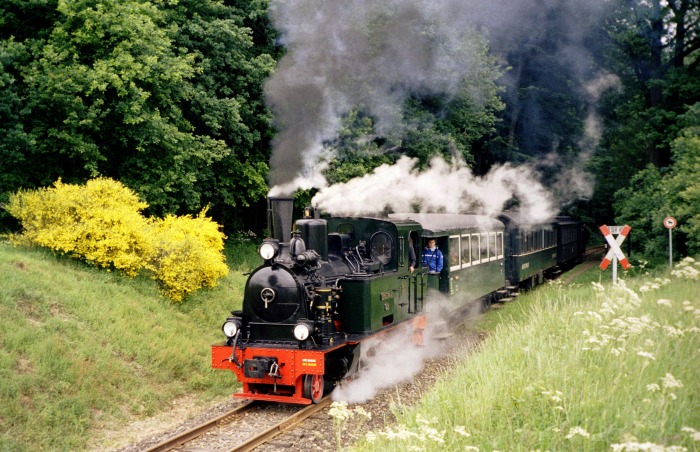SPREEWALD mit Zug P 105 Abfahrt Haltepunkt Vilser Holz, um 11:36h am 04.06.2006