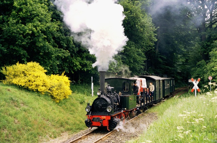 Lok FRANZBURG mit GmP 411 Abfahrt am Haltepunkt Vilser Holz, um 11:57h am 04.06.2006