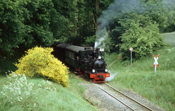 SPREEWALD mit P 107 Abfahrt am Haltepunkt Vilser Holz, um 14:23h am 04.06.2006