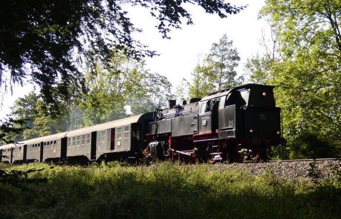 BB 262 Tv mit Zug von Blumberg abwärts nach Weizen, unterhalb von Grimmelshofen im Wald, um 10:57h am 25.09.2021