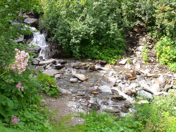 Wanderweg durch den Steffenbach