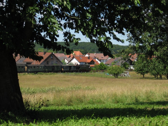 Nr.16 Tv mit Zug Neuffen-Nürtingen, oberhalb von Haltepunkt Frickenhausen- Kelterstraße, um 11:59h am 17.06.2007