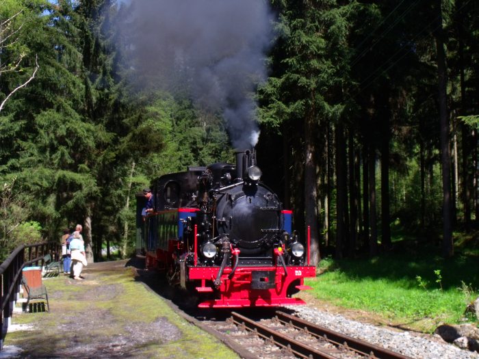 AQUARIUS C in voller Fahrt (leider ohne Halt) mit Zug 51 am Haltepunkt Loreleifelsen, um 15:02h am 19.05.2013