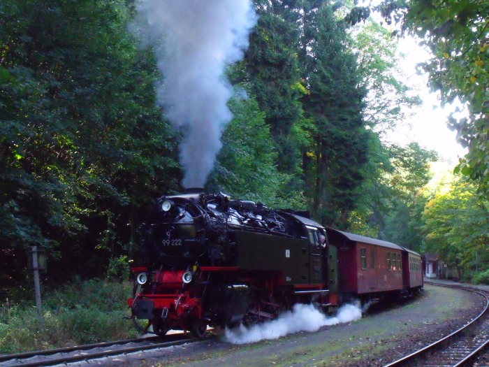 99 222 mit 8925 am Drängetal, am 31.10.2005