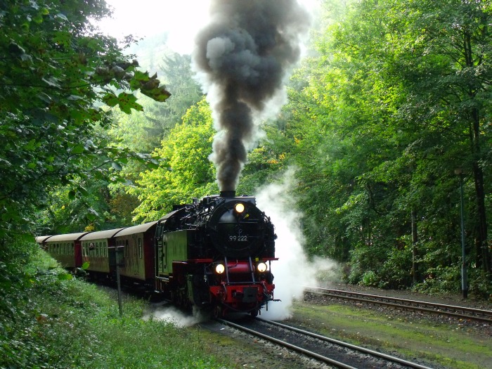 99 222 mit Planzug 8941 zum Brocken, fotografiert und akustisch aufgenommen hinter der Ausfahrt Schierke, um 12:25h am 21.09.2013