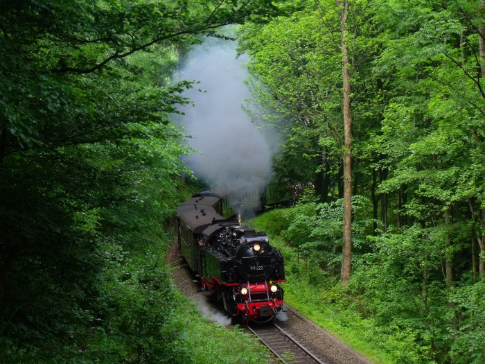 99 222 mit dem HSB-Traditionszug zum Brocken, hinter der Ausfahrt von Steinerne Renne, um 11:05h am 06.06.2015