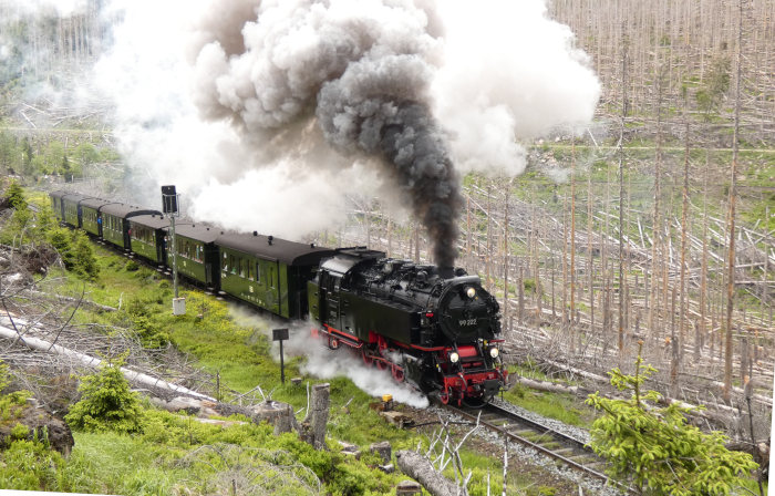 99 222 mit Traditionszug der HSB NR. 8991 am Eckerloch, um 12:45h am 28.05.2022