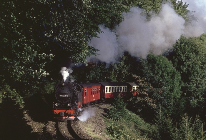 99 7239 mit P 14431 am Drängetal, am 29.08.1989