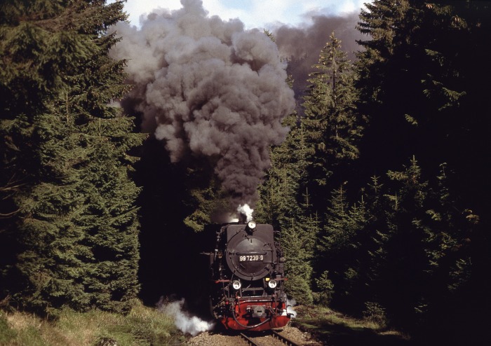 99 7239 mit 8935 am Eckerloch, am 18.09.1993