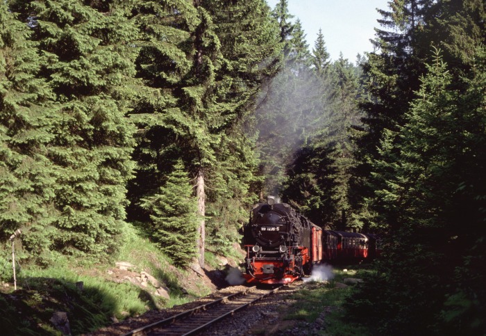wird aufgenommen: 99 7236 mit 8931 am Eckerloch, am 02.07.1994