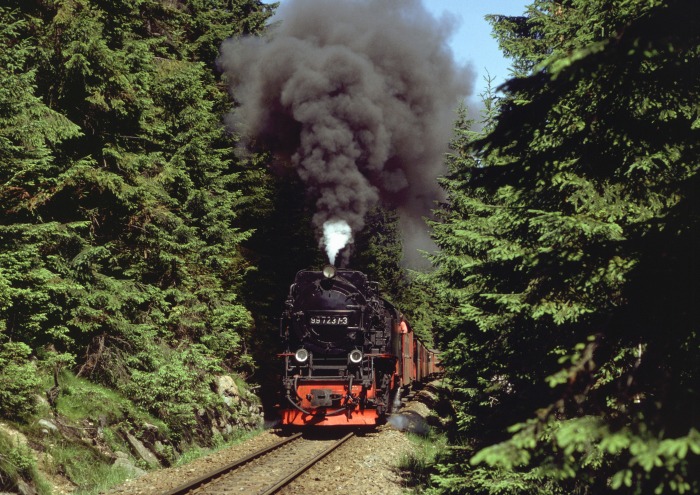 99 7237 mit 8933 am Eckerloch, am 02.07.1994