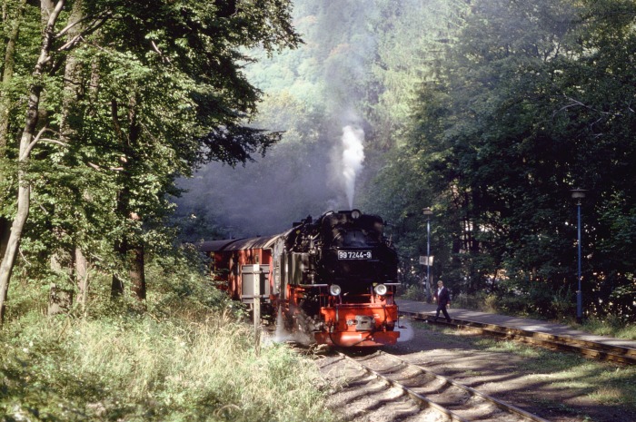 99 7244 vor 8933 in Steinerne Renne, am 07.09.1995
