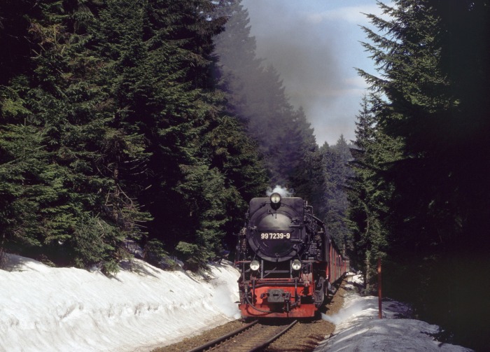 99 7238 mit Zug 8933 am Eckerloch, am 03.04.1999