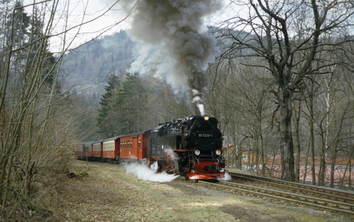 99 7238 mit Zug 8933 Abfahrt Steinerne Renne, am 06.04.2007