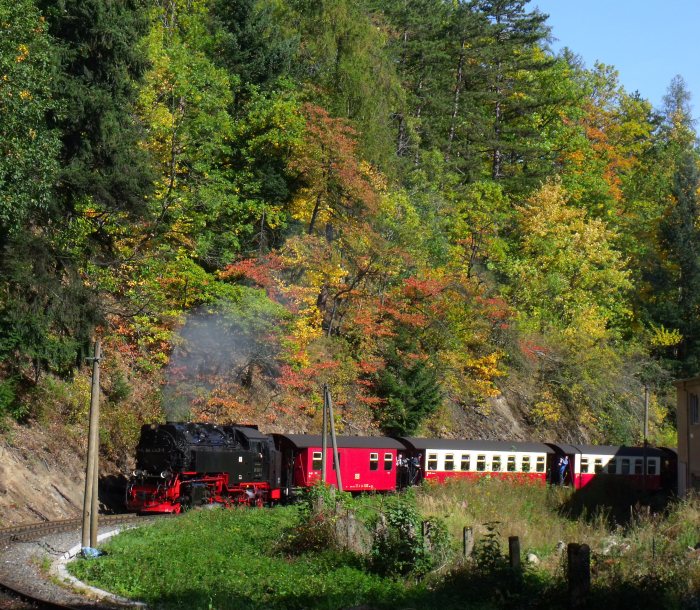 99 7243 mit Zug 8903 in der Kurve hinter dem Werbat-Werk bei Steinerne Renne, um 12:17h am 30.09.2012