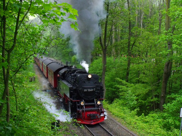 99 7240 mit dem zweiten Brockenzug an diesem Tag, dem 8933, Ausfahrt Steinerne Renne, um 10:07h am 17.05.2014