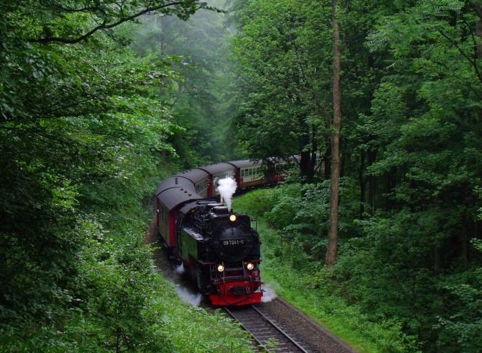 99 7241 mit 8931 hinter Ausfahrt Steinerne Renne, um 9:21h am 06.06.2015