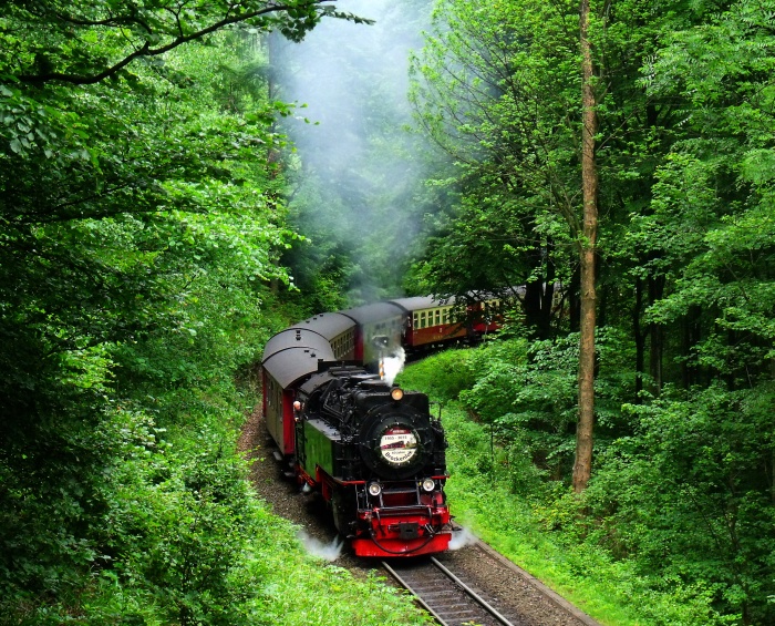 99 7247 mit 8933 hinter Ausfahrt Steinerne Renne, um 10:02h am 06.06.2015