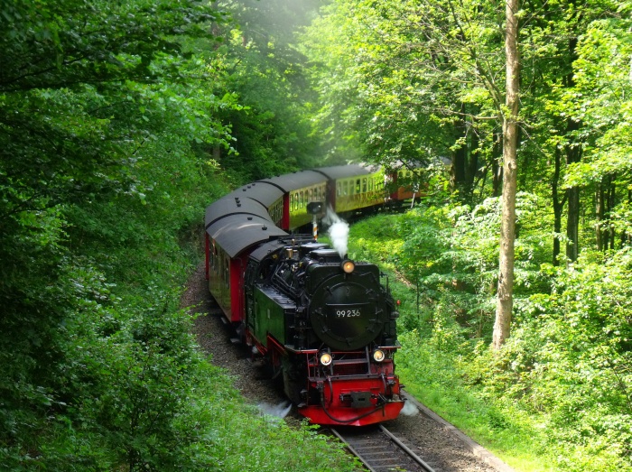 99 (7)236 mit 8903 Richtung Eisfelder Talmühle, hinter Ausfahrt Steinerne Renne, um 12:18h am 06.06.2015
