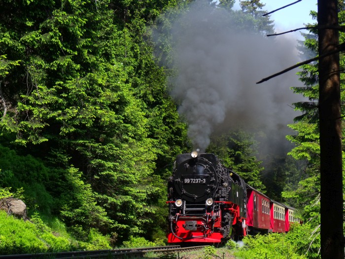 99 7237 mit Zug 8933, ebenfalls hinter der Eckerloch-Kurve, um 11:04h am 08.06.2016