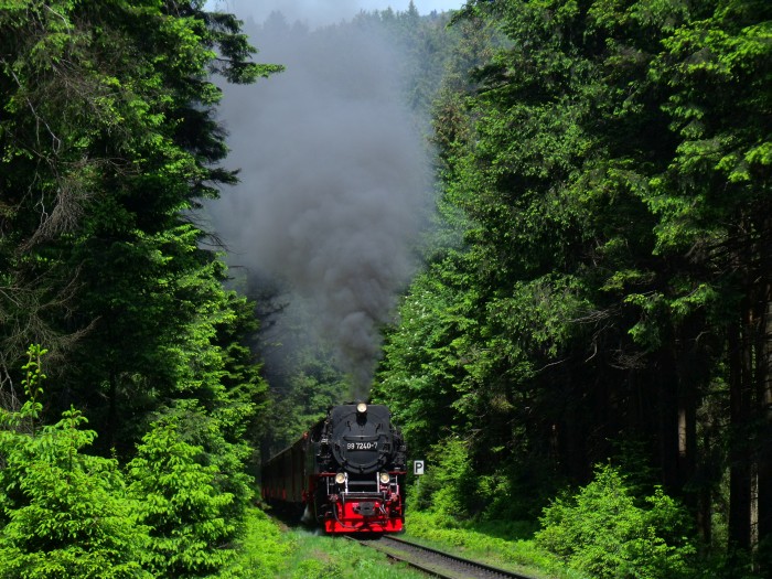 99 7240 mit Zug 8941, hinter der Eckerloch-Kurve, um 12:36h am 08.06.2016