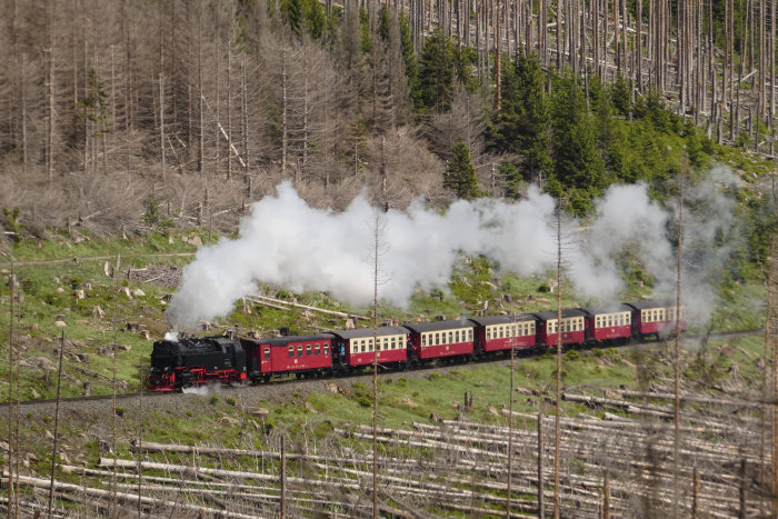 99 ???? mit Zug 8927 im langen geraden Streckenabschnitt parallel am Wanderweg und vor der Eckerloch-Kurve, um 14:10h am 28.05.2022