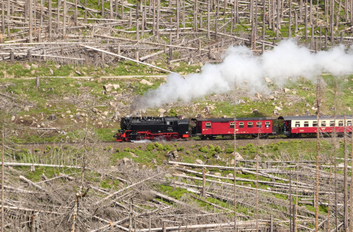99 7237 mit 8927 vor der Eckerloch-Kurve, um 14:10h am 28.05.2022