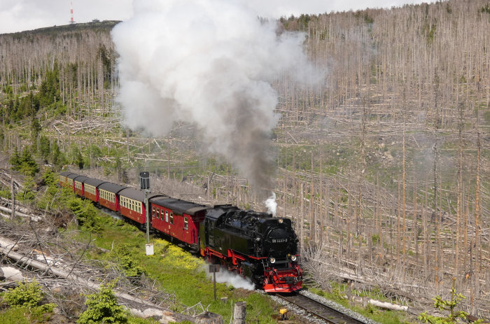 99 7237 mit 8927 auf dem Weg zum Brocken nahe dem (bekannten/berühmten...) Lichtsignal am Eckerloch, um 14:10h am 28.05.2022