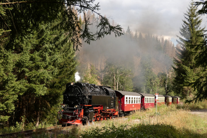 99 7241 mit Zug 8904 von Eisfelder Talmühle Richtung Wernigerode, im Tiefenbachtal um 14:20h am 01.09.2022