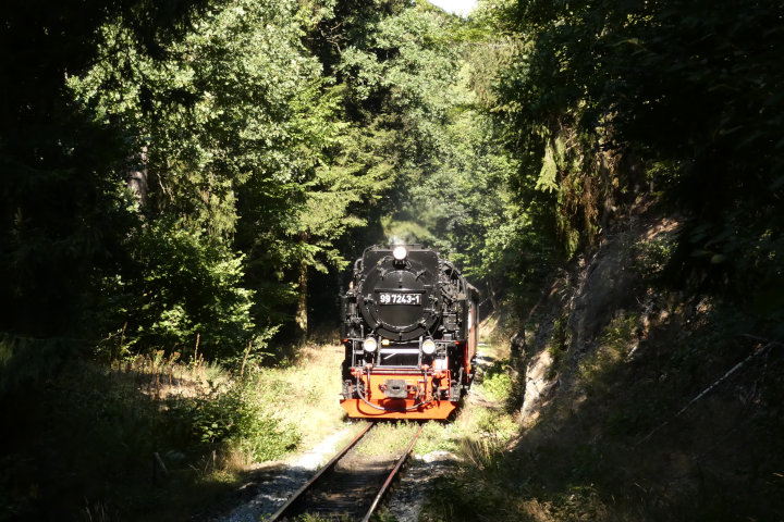 99 7243 mit 8963 an der Einfahrt von Gernrode, um 10:46h am 02.09.2022