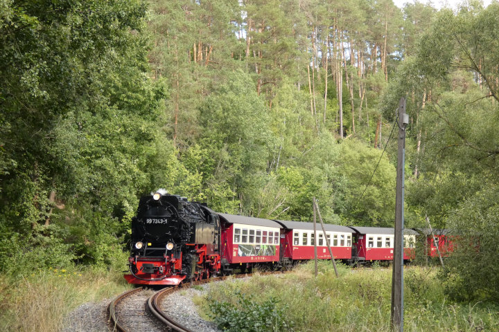 99 7243 mit 8966 nach Hasselfelde in der (ehemaligen) Fluor-Kurve hinter Straßberg, um 15:28h am 02.09.2022