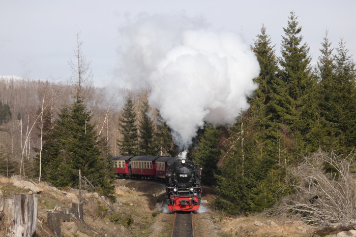 99 236 mit Zug 8945 weit unterhalb von Schierke hinter den Kurven kurz vor Ende der Steigung, um 16:03h am 04.04.2023