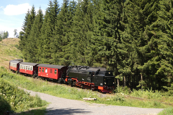 99 7232 Tv mit dem 8903 aus Wernigerode, im Tiefenbachtal zwischen Sophienhof und Tiefenbachmühle abwärts fahrend, um 13:55h am 09.07.2024
