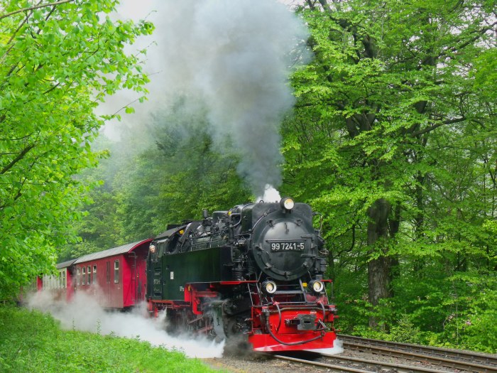 99 7241 mit dem ersten Brockenzug 8931, mal wieder schön laute Abfahrt in Steinerne Renne, um 9:23h am 17.05.2014