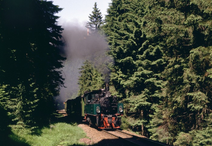 Nr.13 (99 5903) auf dem Weg zum Brocken, am Eckerloch, am 02.07.1994